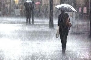 प्रदेश के कई जिलों में बारिश का दौर जारी मौसम विभाग ने कई जिलों में अतिवृष्टि की चेतावनी जारी, की 