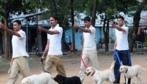 मध्य प्रदेश: गजब, कमलनाथ सरकार ने किए `कुत्तों` के भी तबादले