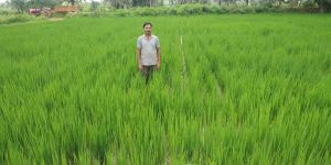 जगदलपुर : शासन के जन कल्याणकारी योजना का लाभ लेकर आधुनिक कृषि की और बढ़ रहा बस्तर का किसान