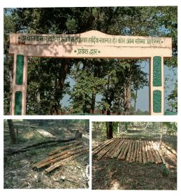 मुंगेली वन परीक्षेत्र के जंगल के अंदर बड़ी संख्या में अवैघ कटी हुई लकड़ी का अंबार - फारेस्ट अधिकारियों की मिलीभगत ?