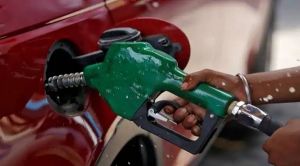 Petrol-Diesel Price: आज फिर बढ़े पेट्रोल-डीजल के दाम, बढ़ने क्या है कारण, जानिए अपने शहर का नया भाव