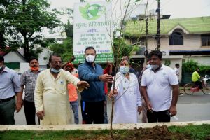 बिलासपुर : महापौर श्री यादव एवं कलेक्टर ने किया कदम का पौधा रोपित