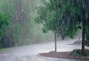 छत्तीसगढ़: गरज-चमक के साथ बारिश होने की संभावना, मौसम विभाग ने दी चेतावनी