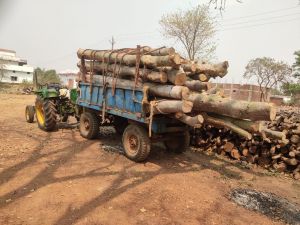 वन विभाग की छापामार कार्यवाही: लमकेनी गांव के आरामिल से अवैध काष्ठ जब्त, मामले में एक मेटाडोर और तीन ट्रेक्टर जब्त