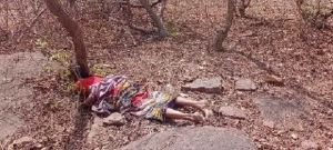 जंगल में मर्डर : मामूली विवाद में पति ने पत्नी को टंगिया मारकर की हत्या, मौके से भाग निकला हत्यारा…