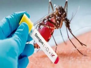 छत्तीसगढ़ में कोरोना के बीच अब डेंगू ने बढ़ाई परेशानी: 4 की मौत, 300 से ज्यादा मरीजों की पुष्टि
