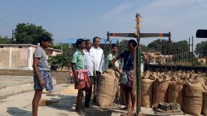 रायगढ़: जिले में अब तक 1288.80 क्विंटल धान की हुई खरीदी