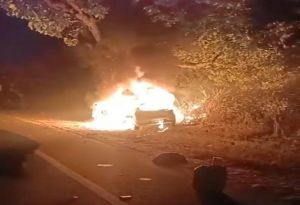 CG Accident News : पेड़ से टकराने के बाद कार में लगी भीषण आग, 2 लोगों की मौके पर ही मौत, 4 घायल