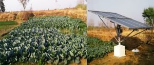: सौर सुजला योजना से जिले के 5230 किसानों की जिंदगी में फैली हरीतिमा