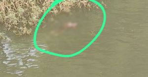 Breaking News : शिवनाथ नदी में युवक की तैरती मिली शव, इलाके में फैली सनसनी, जांच में जुटी पुलिस