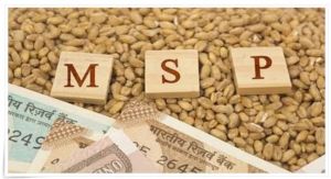 PM Modi: दिवाली से पहले किसानों को मोदी का तोहफा, फसलों की MSP बढ़ाने की तैयारी