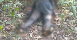 Breaking : जंगल में सड़ी गली लास मिलने से क्षेत्र में फैली सनसनी, पोस्टमार्टम के बाद मौत का होगा खुलासा