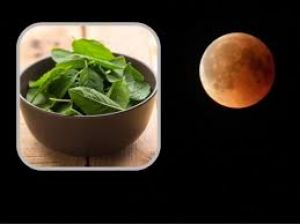 चंद्र ग्रहण के समय तुलसी के पत्ते खाने में क्यों डालते हैं?