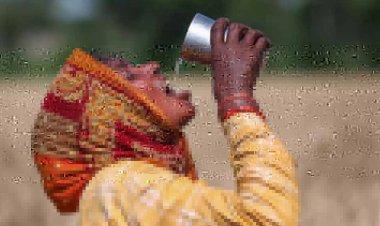 सडक़ पार करते दिखा हाथीदल, गाडिय़ों के पहिये थमे