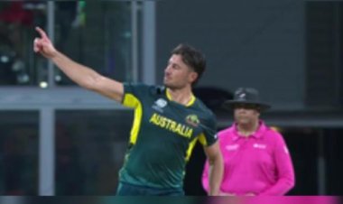 मार्कस स्टोइनिस के दम पर ऑस्ट्रेलिया ने ओमान को 39 रन से हराया