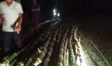 गुमगरा जंगल में काट दिए सैकड़ों बांस, बेचने की फिराक में थे