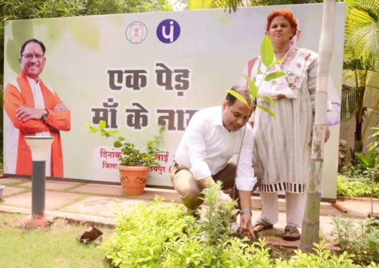 कलेक्टर डाॅ. गौरव सिंह ने एक पेड़ मां के नाम अभियान के तहत किया वृक्षारोपण