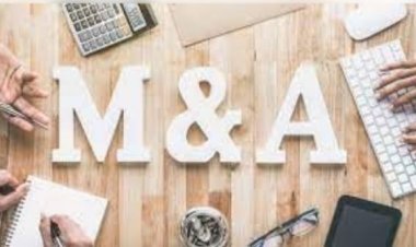 प्राइवेट इक्विटी निवेशकों की भारतीय बाजार में बढ़ी दिलचस्पी, कंज्यूमर, रिटेल और हेल्थकेयर फेवरेट सेक्टर