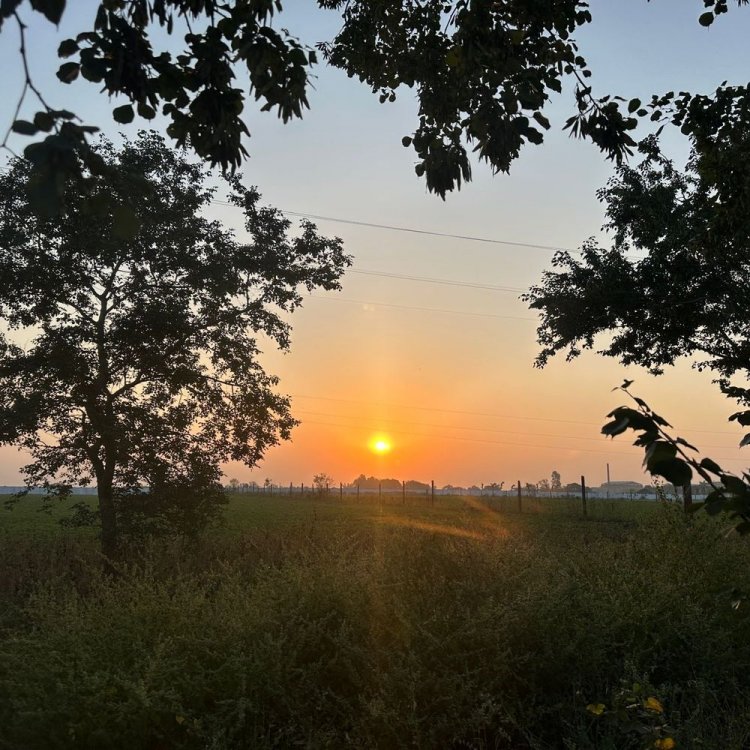 मंदसौर मौसम अपडेट, दिन में गर्मी शाम ठंडी:नवंबर के पहले सप्ताह में बढ़ेगी ठंड; तापमान 20 डिग्री के निचे पहुंचने का अनुमान