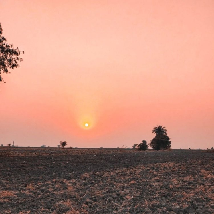 एक सप्ताह में न्यूनतम और अधिकतम टेम्प्रेचर में गिरावट:मंदसौर में चार डिग्री सेल्सियस गिरा तापमान, सुबह हल्की धुंध के साथ ठंड का असर बढ़ा