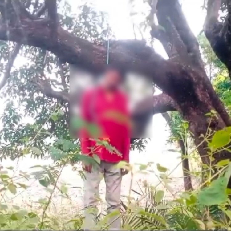 सीधी में पेड़ से लटकी मिली अधेड़ की लाश:गांव के चरवाहे ने सबसे पहले देखा शव, ग्रामीणों ने पुलिस को दी जानकारी