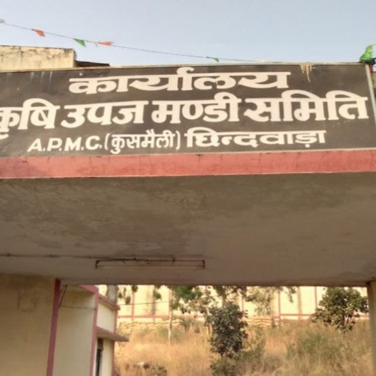 कुसमेली मंडी में हम्मालों की हड़ताल:समस्याओं को लेकर किया काम बंद, व्यापारी संघ ने दिया समर्थन, नहीं होगी नीलामी