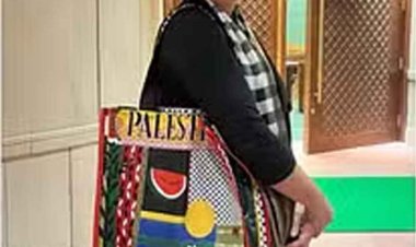 पाकिस्तान के पूर्व मंत्री ने की प्रियंका की तारीफ, फलस्तीन लिखा बैग लेकर संसद पहुंचने पर दिया बयान