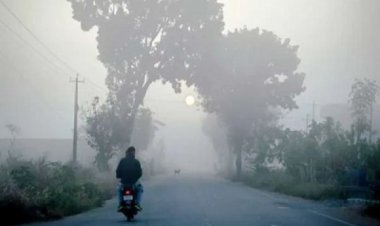 प्रदेश में कड़ाके की ठंड,मैनपाट में गिरा तापमान 3 डिग्री