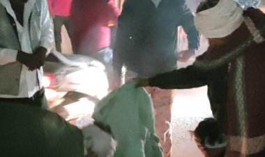 मुरैना में लकड़ियों की जगह कपड़े जला रहे कर्मचारी:लोगों ने लगाया आरोप; नगर निगम कमिश्नर ने दिया कार्रवाई का आश्वासन