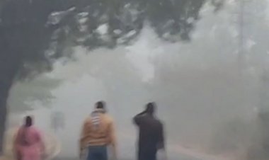 शिवपुरी में दो दिन में 2.8 डिग्री लुढ़का पारा:कोहरे से विजिबिलिटी 500 मीटर के आसपास रही; अधिकतम तापमान 22.2 दर्ज