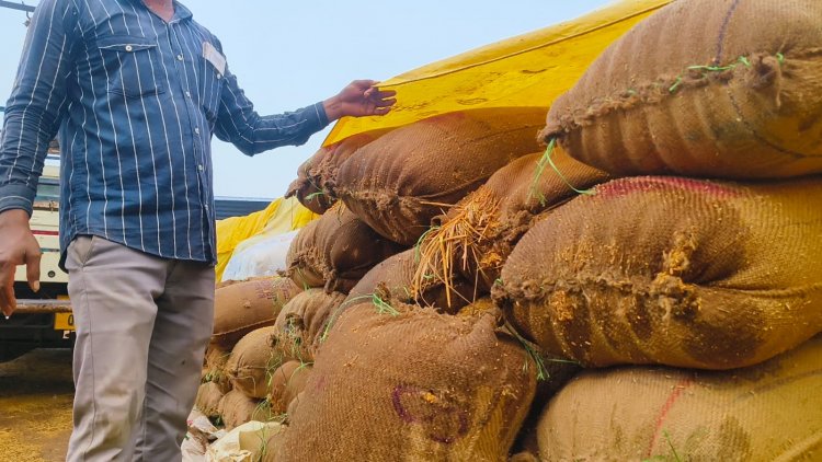 खुले आसमान में रखे करोड़ों के धान बेमौसम बारिश में भीगे