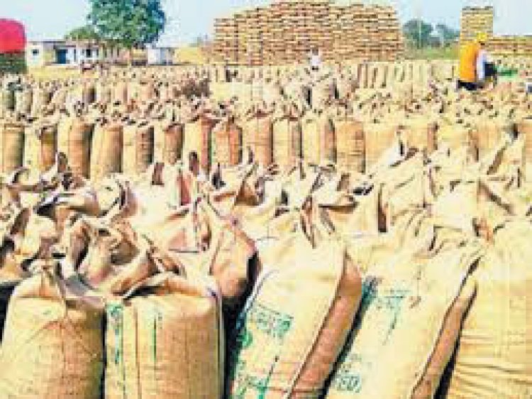 अब तक मात्र 30 से 35 फीसदी धान उठाव 18 केंद्रों में 3.4 लाख क्विंटल जाम