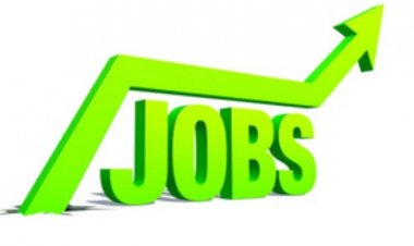 वित्त वर्ष 2024 में बढ़ी नौकरियां, 4.67 करोड़ अतिरिक्त रोजगार का हुआ सृजन, जारी रहेगा ट्रेंड
