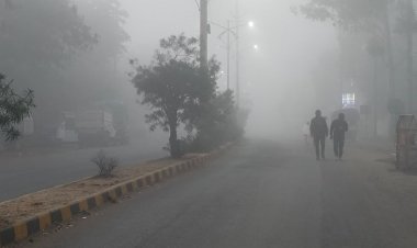 डिंडौरी में 10 डिग्री पहुंचा न्यूनतम तापमान:सुबह घने कोहरे से विजिबिलिटी 30 मीटर तक सीमित