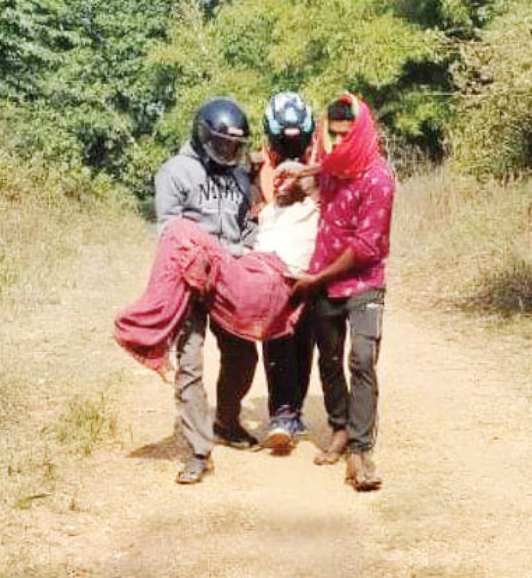 मधुमक्खियों का हमला, बुजुर्ग सहित कई घायल