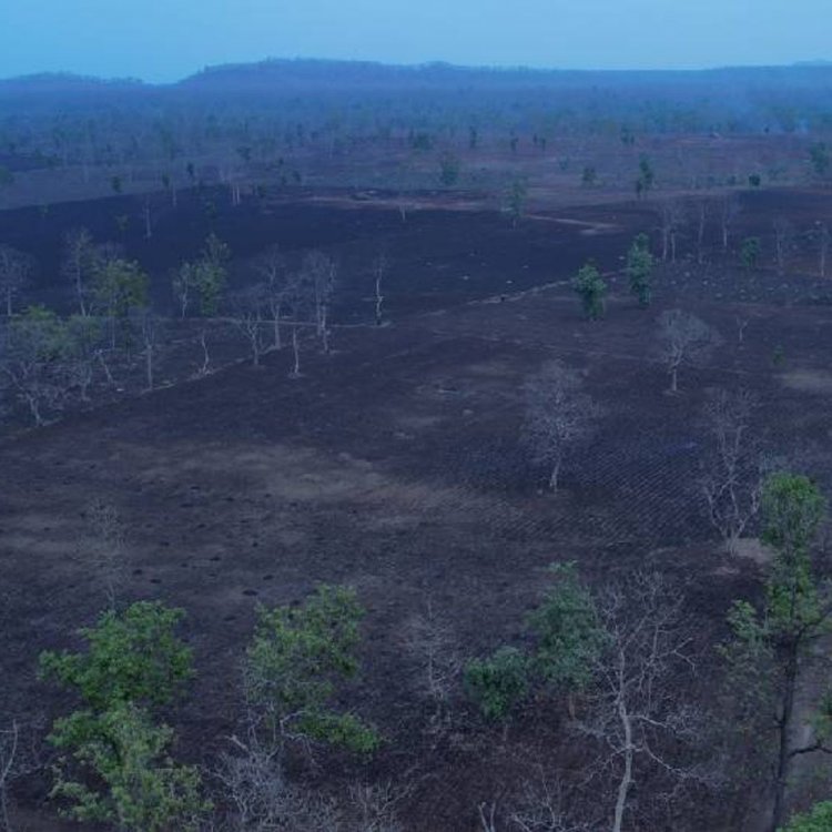 खंडवा में किसानों का जंगल बचाओ आंदोलन:गुड़ी में आज जुटेंगे सैकड़ों आंदोलनकारी, वन माफिया के खिलाफ एक्शन लेने की मांग