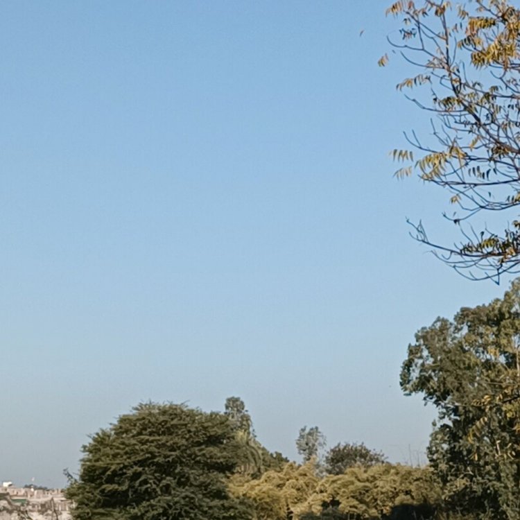 अशोकनगर में अधिकतम तापमान 3 डिग्री बढ़ा:ठंड का असर हुआ कम, न्यूनतम तापमान 4.8 डिग्री दर्ज