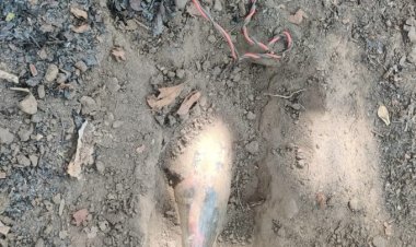 सुरक्षा बलों ने डिफ्यूज किए IED बम एक बार फिर नक्सलियों के मंसूबों पर फिरा पानी