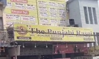 रायपुर ब्रेकिंग -  खाद्यविभाग पंजाबी रेस्टोरेंट कटोरा तालाब पहुंची-ग्राहक के बिरयानी में काक्रोच