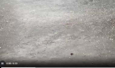 छत्तीसगढ़ में ओलावृष्टि : बारिश के साथ जमकर गिरे ओले, सड़कों पर बिछी बर्फ की चादर