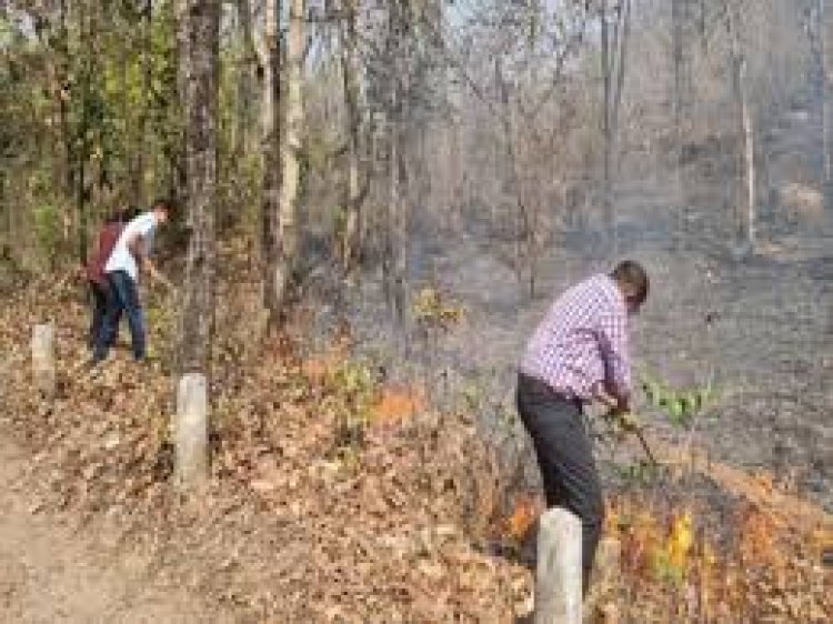 वन विभाग में भ्रष्टाचार और विधानसभा में गलत जानकारी देने के मामले में छोटे कर्मचारियों को बलि का बकरा बनाकर लीपापोती की तैयारी