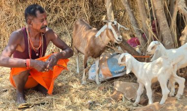 बकरी पालन बना आर्थिक सशक्तिकरण का आधार