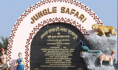 जंगल सफारी के बहिष्कार की क्यों उठ रही है मांग? जैन संगठन और पशु प्रेमियों की मांग के पीछे की जानिये क्या है वजह