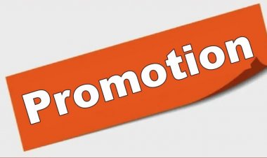 रायगढ़ बिजली विभाग के 66 कर्मचारियों को मिला pramotion, जल्द होगी नई भर्ती