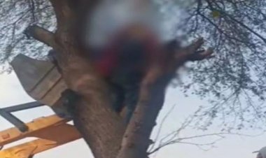 दिल दहला देने वाला मामला : एक ही फंदे में लटकता मिला अधेड़ और युवती का शव, जताई जा रही ये आशंका, जांच में जुटी पुलिस…