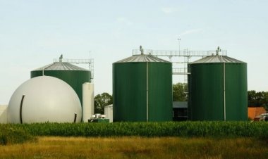 CG : छत्तीसगढ़ के रायपुर सहित 8 शहरों में लगेंगे बायो-सीएनजी प्लांट