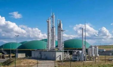 बायो-सीएनजी प्लांट के लिए कंपनियों को रियायती लीज दर पर दी जाएगी जमीन, राज्य शासन ने सभी कलेक्टरों को लिखा पत्र