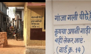 CG : इस तरफ मिलता है गांजा’, प्रशासन बेखबर, युवा पीढ़ी खतरे में