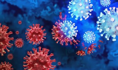 COVID-19  : भारत में बढ़ रहा कोरोना का खतरा ! एक हफ्ते में आए 752 नए मामले, 7 मरीजों ने गवाई जान