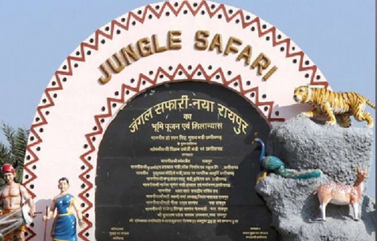 जंगल सफारी के बहिष्कार की क्यों उठ रही है मांग? जैन संगठन और पशु प्रेमियों की मांग के पीछे की जानिये क्या है वजह